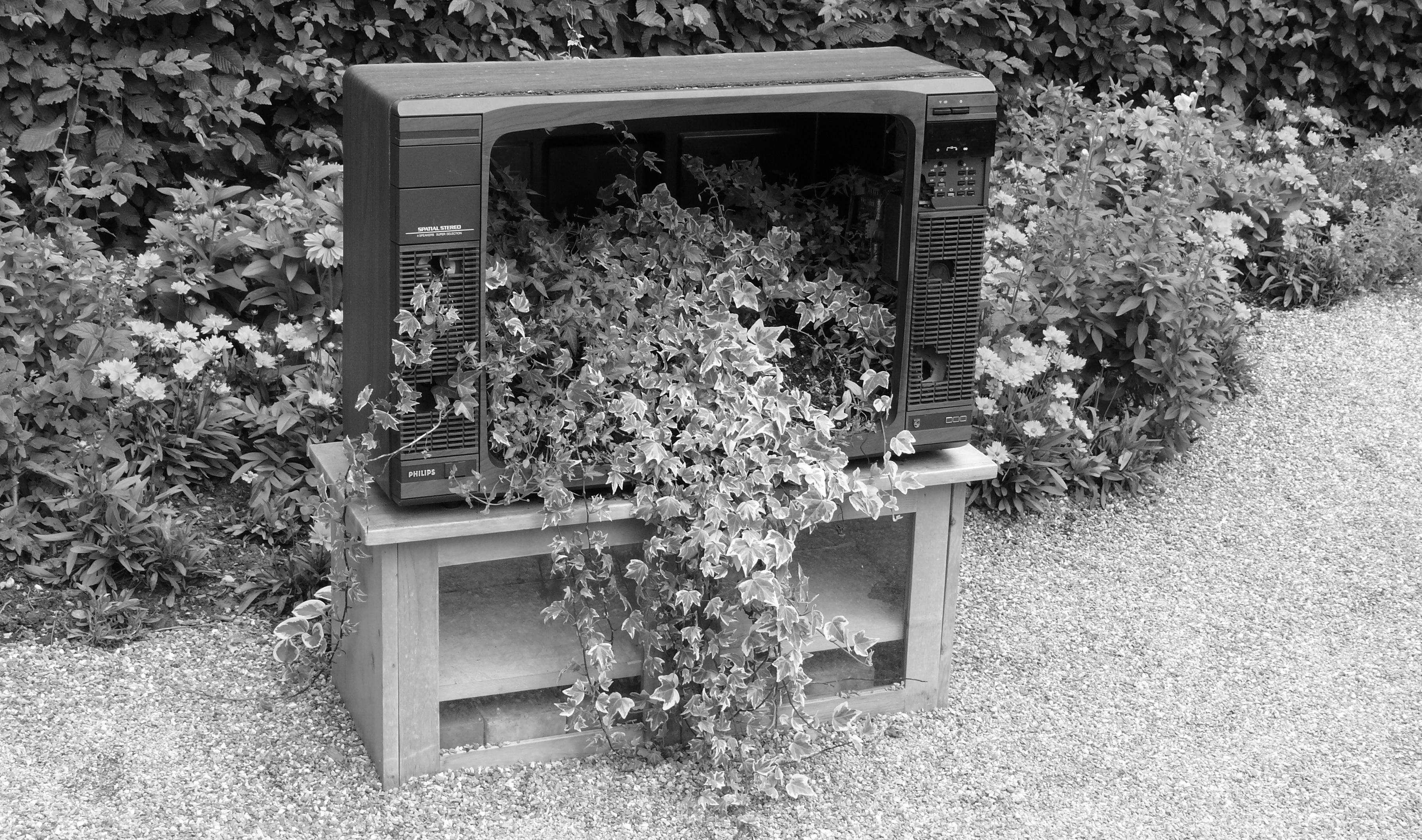 bild01